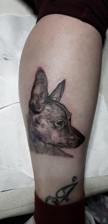 Lepota i zdravlje: Diplomirani slikar, crtač, konzervator Ali pre svega tattoo majstor — 2