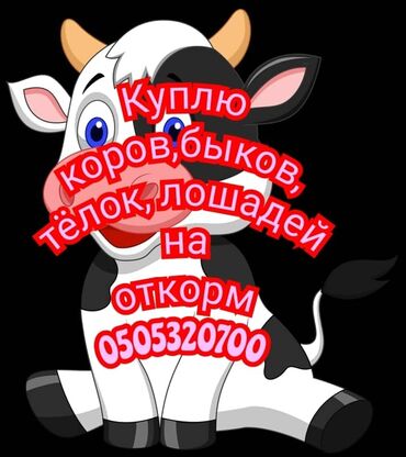 корм для коров цена: Куплю | Коровы, быки, Лошади, кони | На откорм, Откормленные, Бесплатная доставка