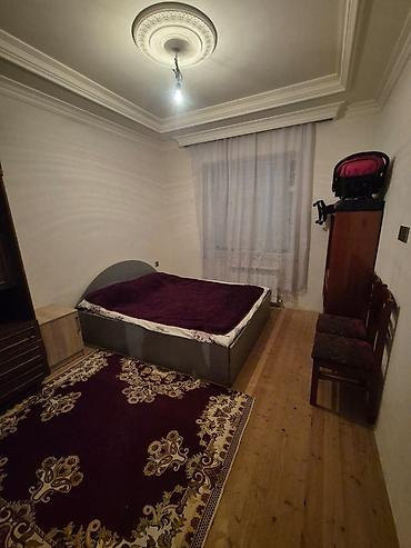 mingecevir evler: Abşeron rayonu Digah qəsəbəsi tam yolun kənarında yoldan 100m icəridə — 6
