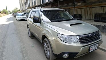 купить асфальтоукладчик бу: Subaru Forester: 2010 г., 2.5 л, Автоматтык, Газ, Кроссовер lalafo.kg да купить асфальтоукладчик бу: Subaru Forester: 2010 г., 2.5 л, Автоматтык, Газ, Кроссовер