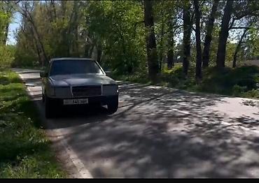 мереке авто сливы: Mercedes-Benz W124: 1991 г., 2 л, Механика, Газ, Седан — 10