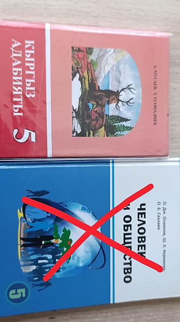 Книги и журналы: Учебники!!! 150-200 сом В комплекте на фото: - Кыргыз адабияты, 5 — 1