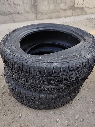245 50 18: Шины 185 / 60 / R 15, Зима, Б/у, Пара, Легковые, Япония, Dunlop — 2