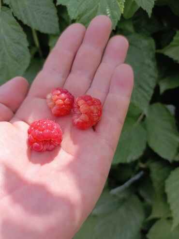 Продажа домов: Дом, 100 м², 4 комнаты, Собственник, Евроремонт — 6