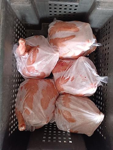 Курица: 🔥 Продаю фермерских бройлерных кур (охлажденка+замороженные тушки) 🔥 💰 — 4