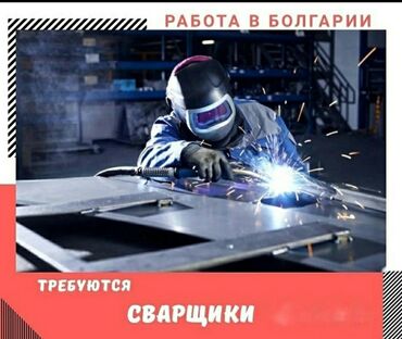 биоцинк для мужчин отзывы in Кыргызстан | ДРУГИЕ АКСЕССУАРЫ: 000537 | Болгария. Строительство и производство. 5/2