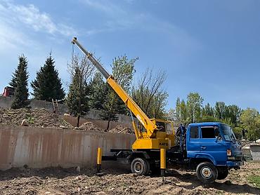 caterpillar: Стрела 21 м, 5000 т — 3