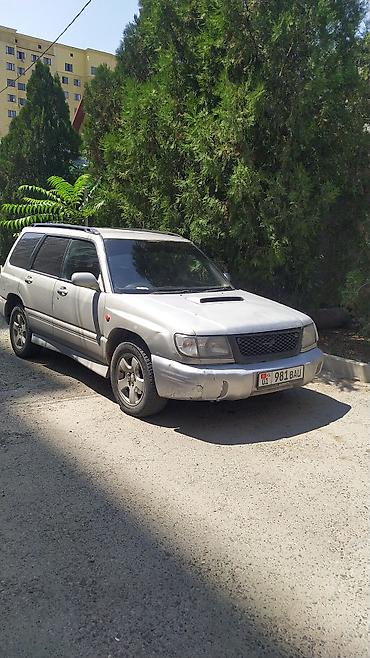 клыки форестер: Subaru Forester: 1998 г., 2 л, Автомат, Бензин, Кроссовер — 4