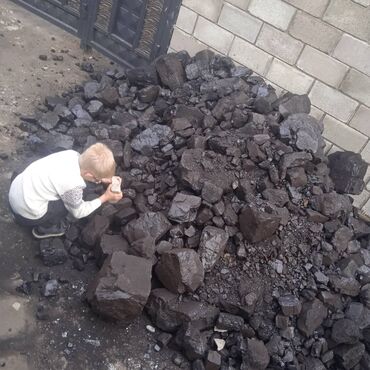 Уголь Шабыркуль: Уголь Шабыркуль с доставкой на дом, Продаю Уголь шабыркуль, Купить — 6