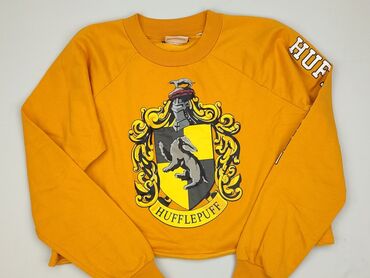 Women's Clothing: Women`s sweatshirt, SinSay, size L (EU 40)