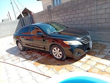 mark x car: Toyota Camry: 2010 г., 2.5 л, Автомат, Бензин, Седан — 1