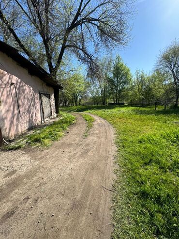 Продажа участков: 40 соток, Для сельского хозяйства, Договор купли-продажи, Красная книга — 8