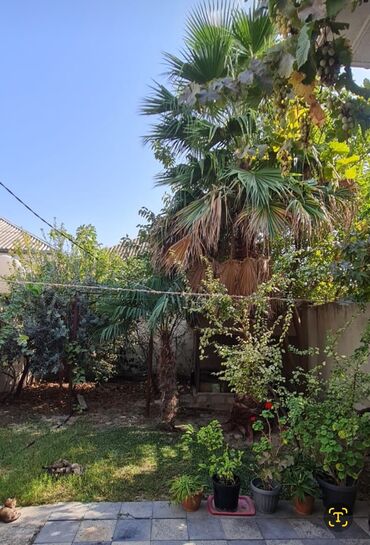 sabuncu rayonu savalan qesebesi: Bakı, Zabrat, 5 otaqlı, Köhnə tikili, 175 kv. m