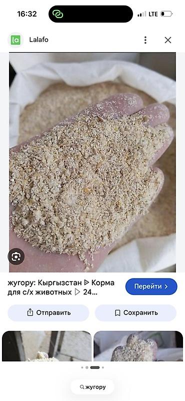 ячмень семенник: Кормовая смесь (жугору/сорго) для сельскохозяйственных животных. - — 1