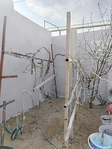 Mənzil kirayələyirəm: 5 otaqlı, 160 kv. m — 28