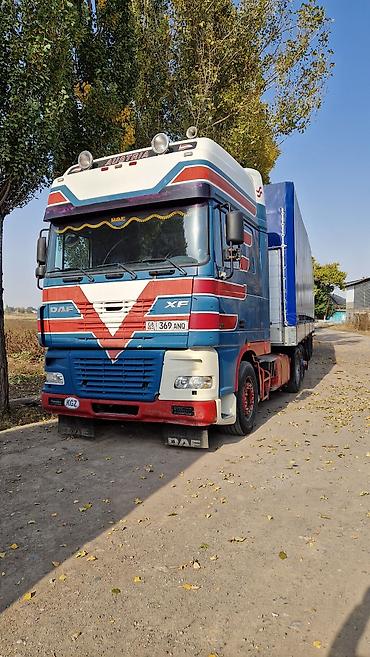 Тягачи: Тягач, DAF, 2004 г., Тентованный — 14