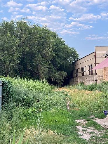 Продажа участков: 8 соток, Для бизнеса, Красная книга — 6