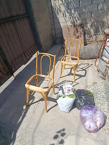 Мебельные услуги: Ремонт и реставрация стульев Покраскаперетяжка, ремонт — 9