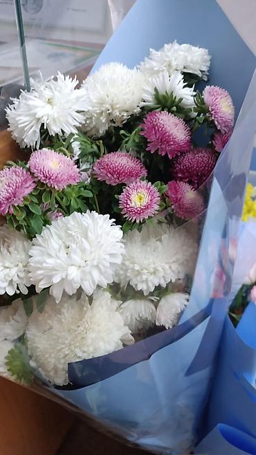 букеты из бабочек: Адрес: Рынок дордой

Букеты каждый по 1000 сом — 2