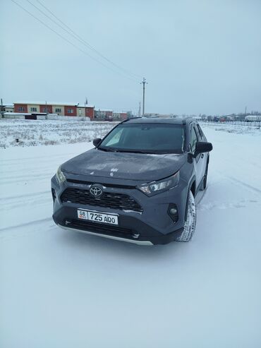 Toyota: Toyota RAV4: 2019 г., 2.4 л, Автомат, Бензин, Кроссовер