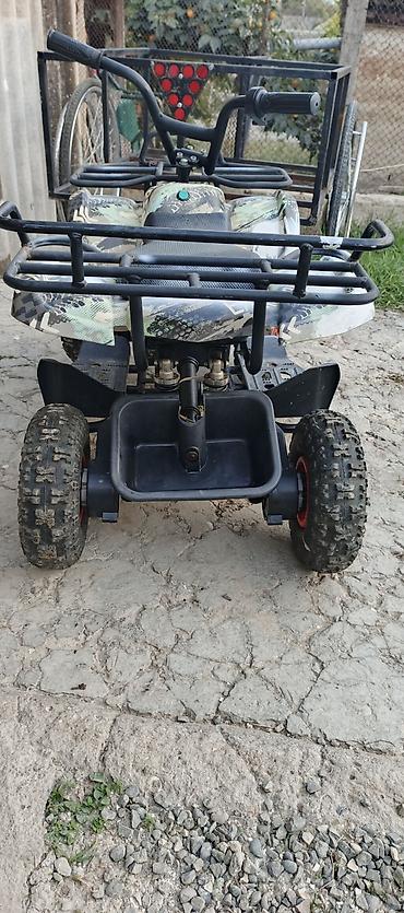 ucuz usaq oyuncaqlari: Elektrik uşaq kvadrosikl və qoşqu - Növ: elektrikli uşaq ATV (4 — 6