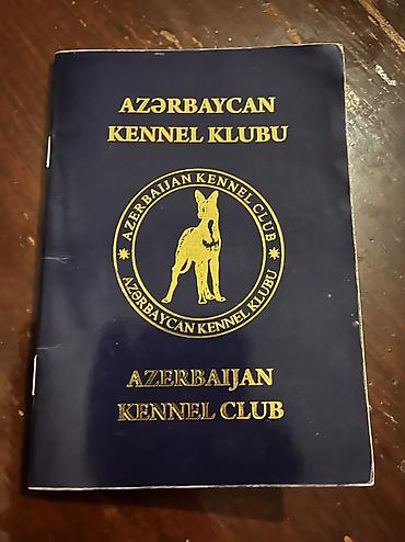 İtlər: Kane-Korso, Erkek — 9