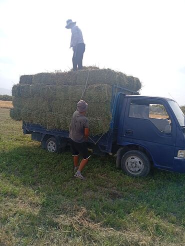 Грузовики: Грузовик, Kia, Стандарт, 3 т, Б/у — 6