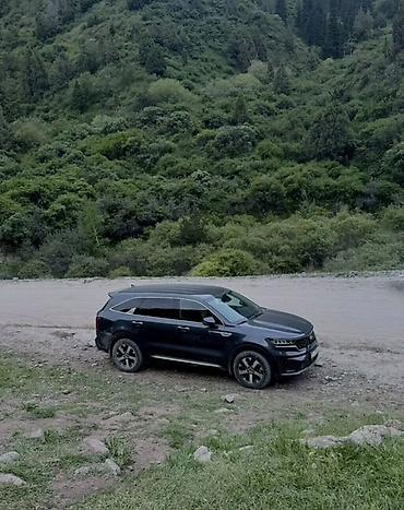 2107 двери: Kia Sorento: 2021 г., 2.2 л, Автомат, Дизель, Кроссовер — 7