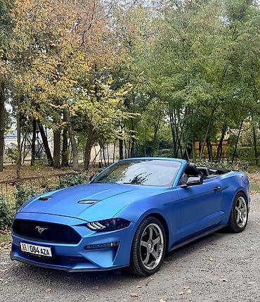 плёнка на машину: Ford Mustang: 2019 г., 2.3 л, Автомат, Бензин, Кабриолет — 6
