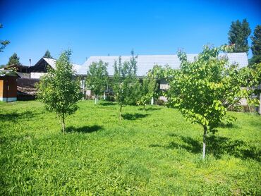 комната подселения: 2 комнаты, Собственник, Без подселения