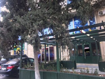 Digər kommersiya daşınmaz əmlakı: Nərimanov rayonu nərimanov metrosuna yaxın 1 mərtəbəli,sahəsi 120 kv/m — 11