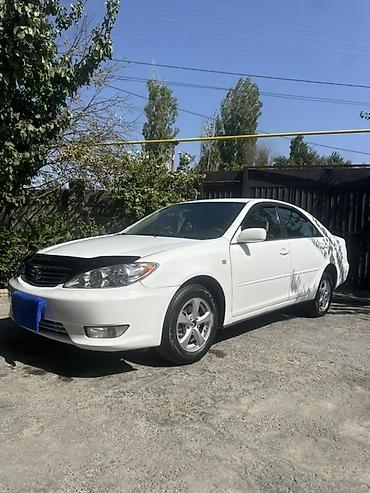 windom 2001: Toyota Camry: 2004 г., 2.4 л, Автомат, Газ, Седан — 1