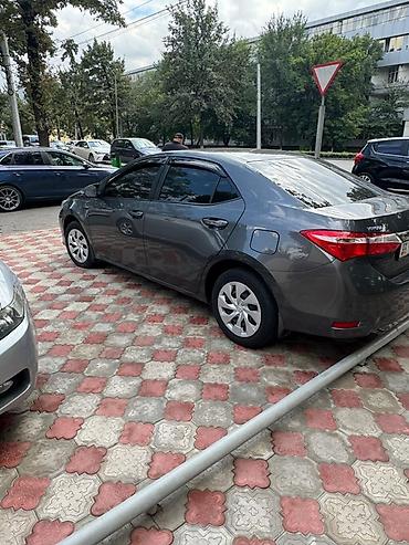 Toyota: Toyota Corolla: 2014 г., 1.6 л, Автомат, Бензин, Седан — 3