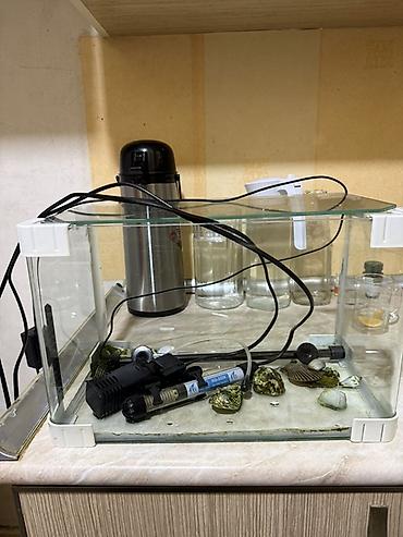 аквариум пластик: Komplekt akvarium dəsti - Şüşə akvarium: kompak ölçülü, düz kənarlı — 2