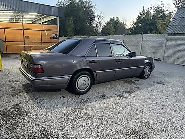 Унаа: Mercedes-Benz W124: 1993 г. — 4