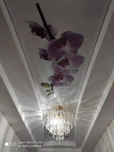 Потолочные работы: Монтаж потолков, Монтаж потолочных плинтусов Больше 6 лет опыта — 20