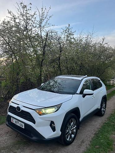 кышкы: Toyota RAV4: 2020 г., 2.5 л, Автомат, Бензин, Кроссовер — 3