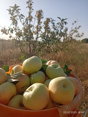 Продажа домов: Дача, 300 м², 2 комнаты, Собственник — 15