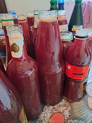 səkər copu gence: Keçibuynuzu və Şam qozası bitkisindən hazırlanmış doşab satılır — 2