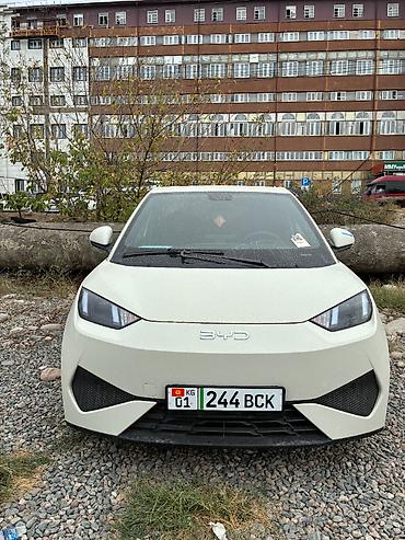BYD: BYD Seagull: 2025 г., Электромобиль — 6