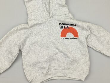 kombinezon jesieńny: Sweatshirt, Zara, 3-4 years, 98-104 cm, condition - Very good