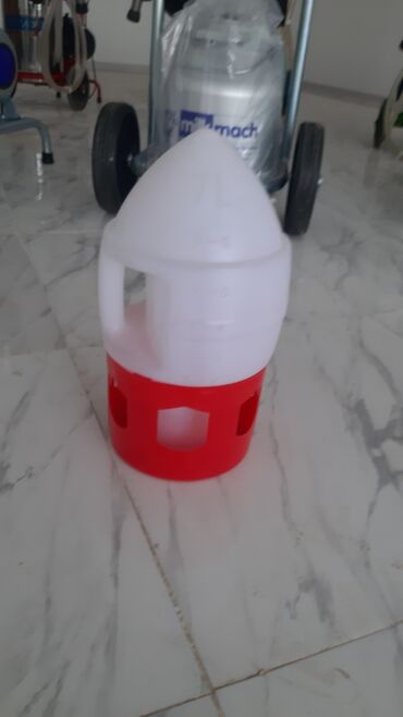 enzo шампунь отзывы: Su qabları 
Quşlar üşün