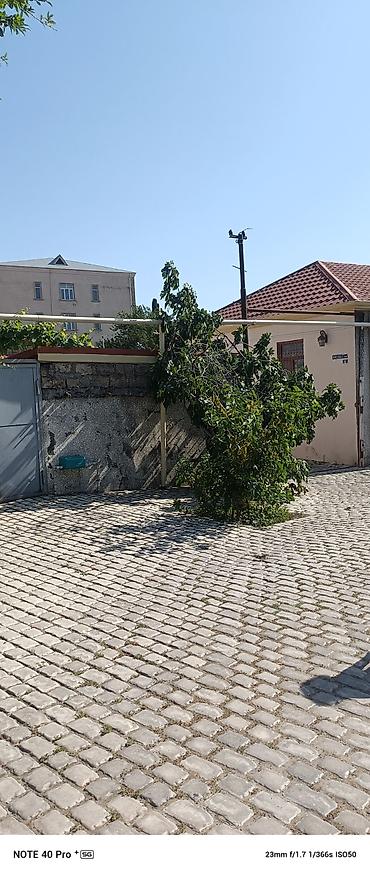 Həyət evləri və villalar: Suraxanı 3 otaqlı, 62 kv. m, Orta təmir — 10