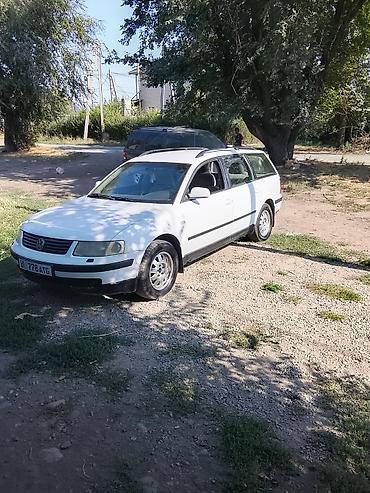 чехол для лыжи: Volkswagen Passat: 1999 г., 1.8 л, Механика, Бензин, Универсал — 2