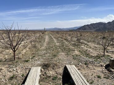 Продажа участков: 600 соток, Для сельского хозяйства, Красная книга, Тех паспорт, Договор купли-продажи — 16