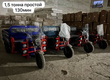 Мотороллеры муравей: Мотороллер муравей Электро, 80 км, 1500 кг и более, Новый, В рассрочку — 1