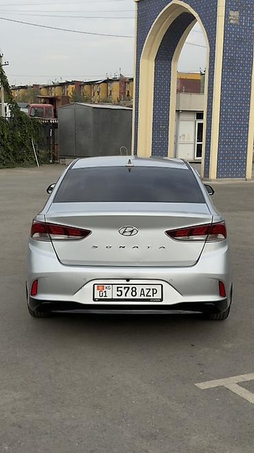 машина кона: Hyundai Sonata: 2019 г., 0.2 л, Автомат, Бензин, Седан — 6