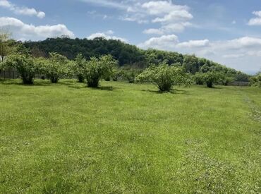 sumqayitda torpaq satisi: 50 sot, Barter mümkündür, Kupça (Çıxarış)