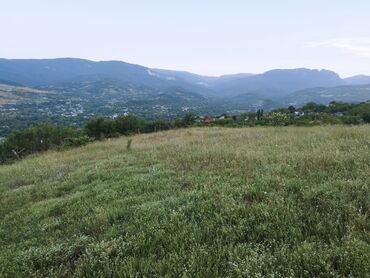 Torpaq sahələrinin satışı: 66 sot, Kənd təsərrüfatı, Kupça (Çıxarış)