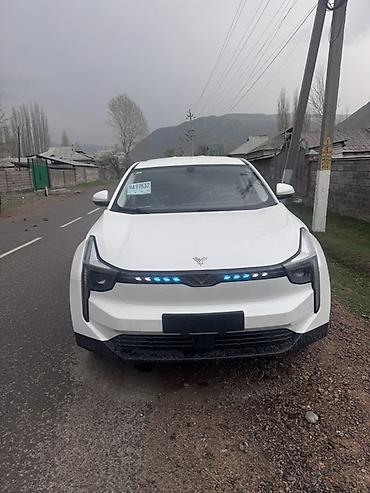 Tesla: Tesla : 2022 г., Электромобиль, Кроссовер — 9